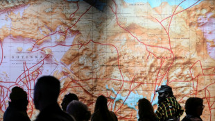 Conflict inflames tensions at Venice Biennale of Art