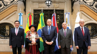 Mercosur ampliará excepciones arancelarias ante guerra comercial de Trump