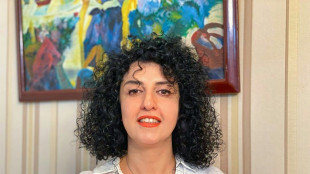 La nobel de la paz iran&iacute; Narges Mohammadi est&aacute; "indispuesta" tras su arresto violento, seg&uacute;n sus seguidores