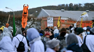 Pollution: des manifestants bloquent une usine BASF près de Rouen