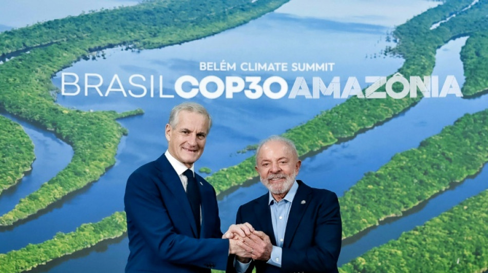 Norwegen stellt bei Klimagipfel Milliarden f&uuml;r neuen Waldschutz-Fonds in Aussicht