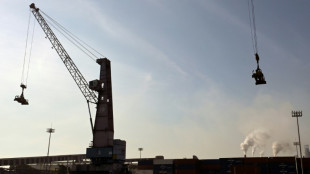 Lazaro Cardenas, le port mexicain en première ligne de la guerre commerciale lancée par Trump