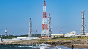 Le Japon envisage d'enfouir des d&eacute;chets nucl&eacute;aires sur une &icirc;le isol&eacute;e du Pacifique