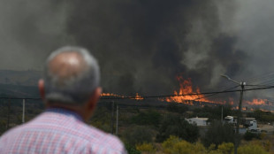 Foreigners among 12 dead in Spanish wildfire