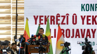 Kurdos de Siria piden la construcción de un Estado "democrático y descentralizado"