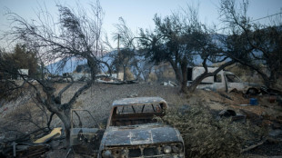 Erneut Waldbrand nahe Athen ausgebrochen - Dutzende Feuerwehrleute im Einsatz