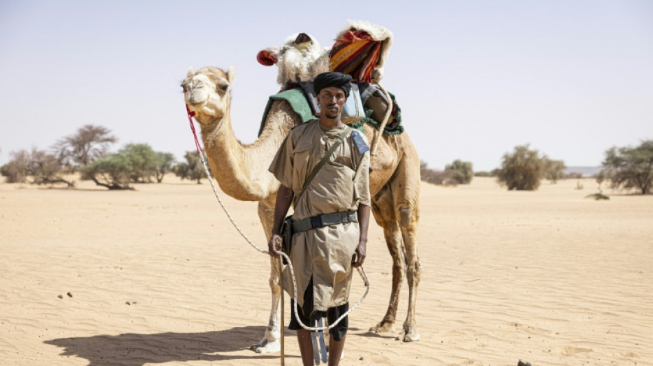 Les méharistes, sentinelles du désert mauritanien face au risque jihadiste