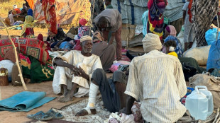 Sudan govt accuses RSF of attacking mosques in El-Fasher takeover