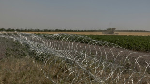 ¿Por qué son importantes las fortificaciones ucranianas en la región oriental del Donbás?