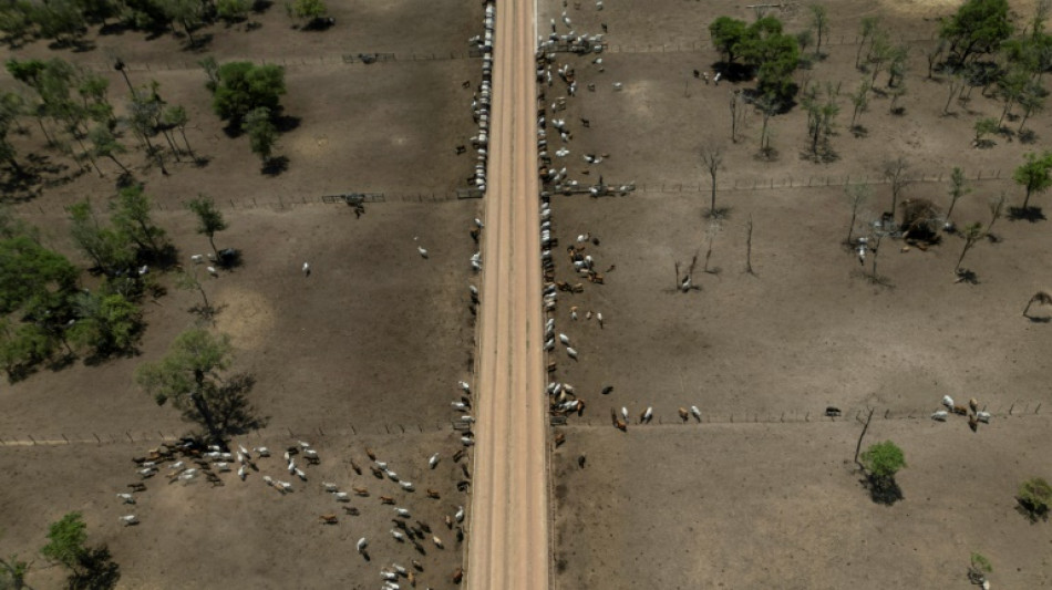 Setor agrícola da Bolívia aguarda mudança de governo para reativar produção