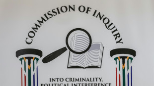 Witness in South Africa justice-system crimes probe shot dead