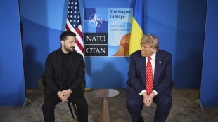 Zelensky, incontrerò Trump a margine dell'assemblea Onu