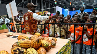 Cacao: le prix d'achat aux planteurs ivoiriens relevé de 22,2%, nouveau record