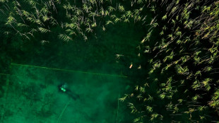 En Albanie, un lac cache les vestiges de la plus ancienne cit&eacute; lacustre en Europe