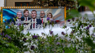 Rep.Ceca vota oggi e domani, in vantaggio il populista Babis