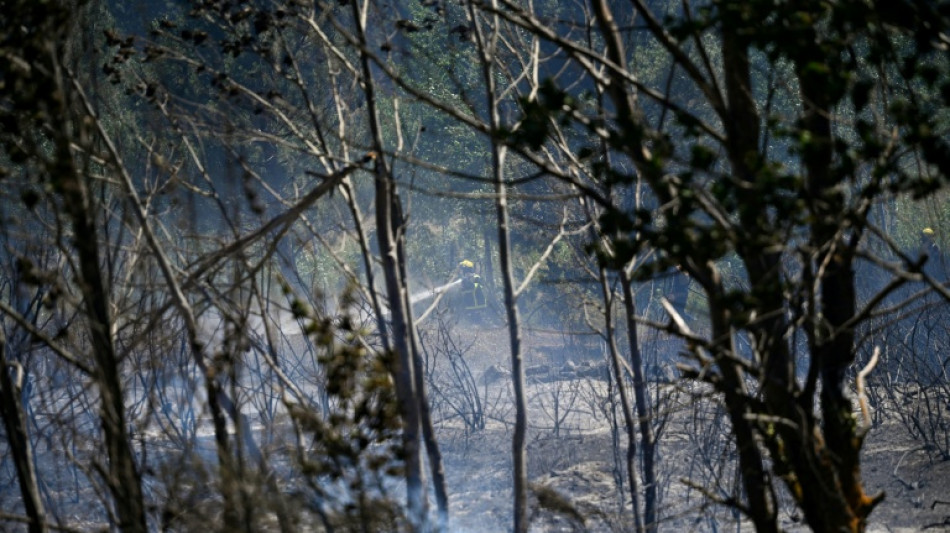 Tour de France stage 3rd stage to go ahead despite forest fires: official