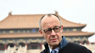 Merz says Germany, China must overcome trade gaps 'together'