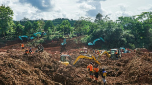 Indon&eacute;sie: 18 morts dans des glissements de terrain, selon un nouveau bilan
