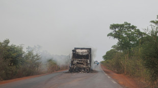 Not just a hideout: Sahel forests provide base for jihadists