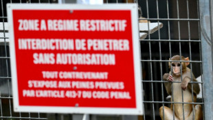 En Provence, l'extension d'un discret centre d'&eacute;levage de singes de laboratoire divise
