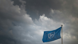 ONU denuncia número recorde de mortes de trabalhadores humanitários em 2024