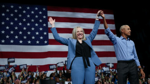 Democrats punch back in US elections - and see hope for 2026
