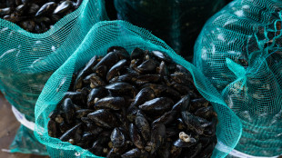 Ong, per Mediterraneo caldo a rischio cozze, vongole e ricci