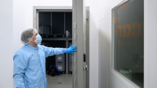 Le cannabis médical, une production "made in Germany" en plein boom