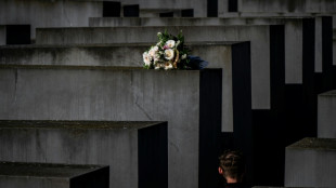 Attaque du M&eacute;morial berlinois de l'Holocauste: un jeune Syrien condamn&eacute; &agrave; 13 ans de prison
