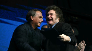 Bolsonaro planeó pedir asilo en Argentina en 2024, según la policía brasileña