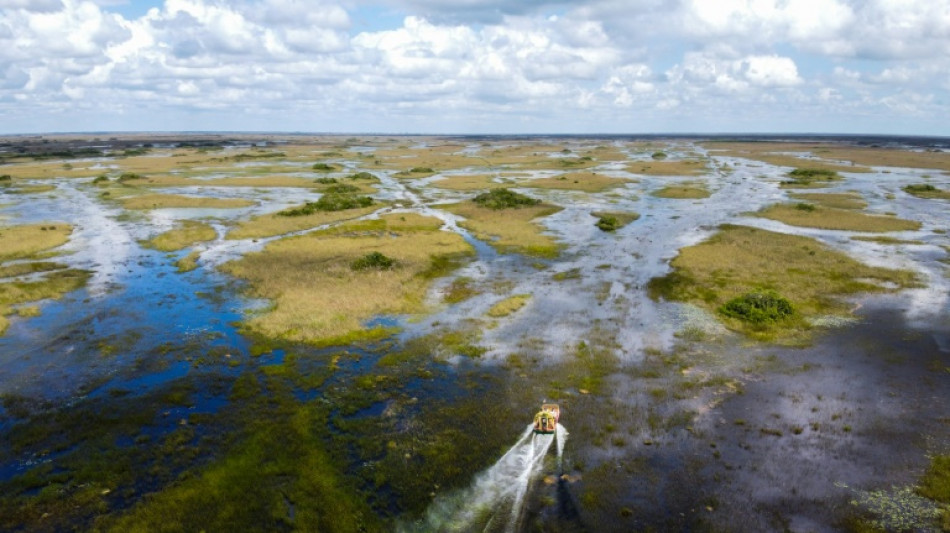 L'administration Biden vole au secours du mar&eacute;cage des Everglades