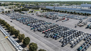 Stellantis se lance dans la course aux petites voitures &eacute;lectriques &agrave; bas prix en l'Europe