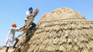 A la frontière du Pakistan, des villageois indiens inquiets et fatalistes