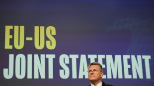 Droits de douane américains: voitures à 15%, pas d’exemptions pour le vin européen