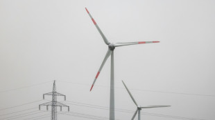 Wirtschaftsweise Grimm fordert regional unterschiedliche Strompreise