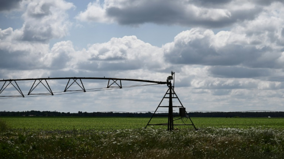 En France, des étés au régime sec si la gestion de l'eau ne change pas
