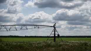 En France, des étés au régime sec si la gestion de l'eau ne change pas