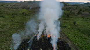 Panamá pedirá que la COP30 adopte acuerdos por mayoría