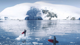Antarctica - Domain One, un film documentario per la difesa dell'Antartide