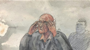 Procès Le Scouarnec: le maximum de 20 ans de réclusion requis, avec rétention de sûreté