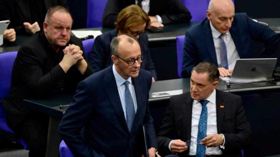 Von AfD unterstützter Unionsantrag zu Migration im Bundestag angenommen