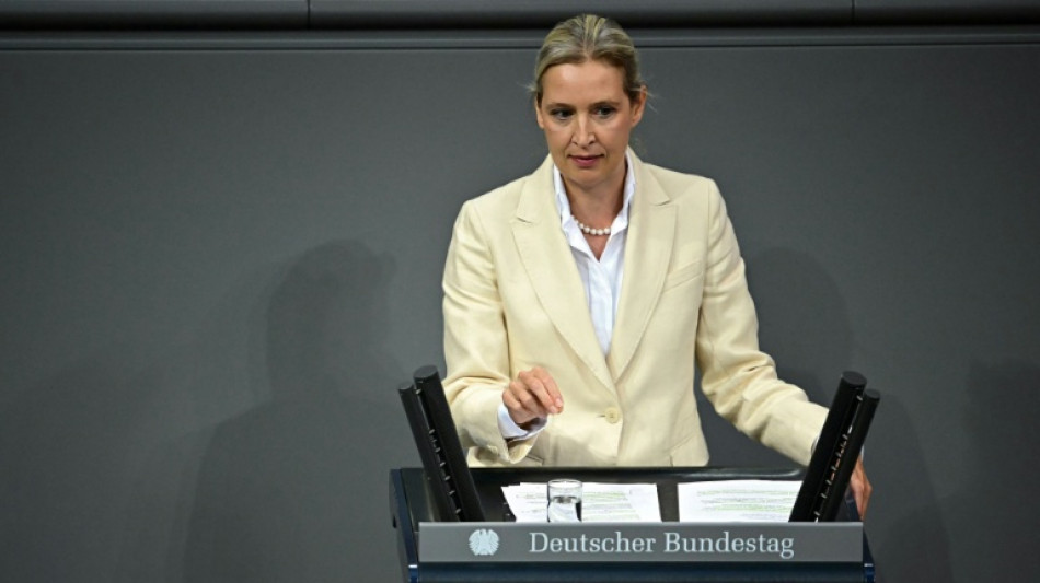 L&iacute;der de extrema derecha alemana critica viaje de sus legisladores a Rusia