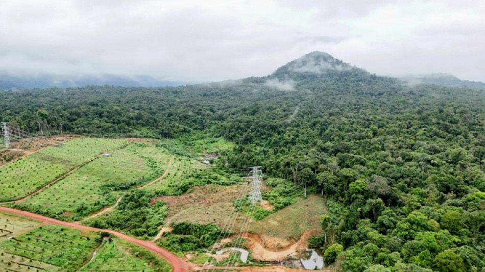 Au Cambodge, cam&eacute;ras, micros et IA d&eacute;voilent la faune cach&eacute;e des montagnes
