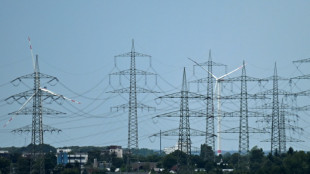 Strompreis: Übertragungsnetzbetreiber senken Netzentgelte deutlich