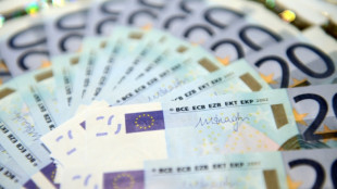 Nach Aus f&uuml;r 1000-Euro-Pr&auml;mie im Bundesrat: Suche nach weiteren Entlastungen
