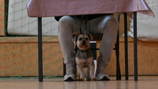 Urteil: Sender darf Prognosen für kleine Parteien nach Wahl zusammenfassen