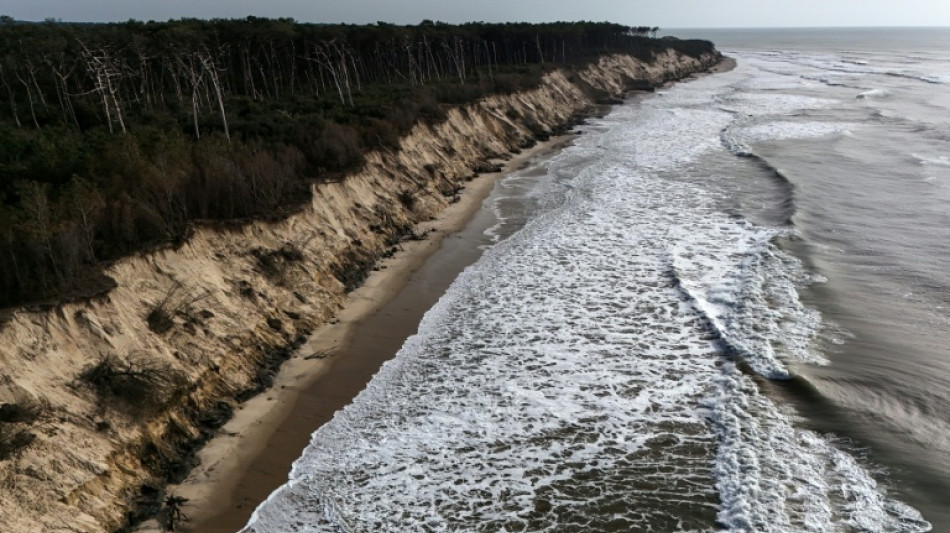 Charente-Maritime: l'&eacute;rosion d&rsquo;une plage engendre la coupe d'une centaine d'arbres