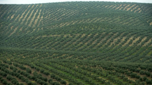 Environ 15% des terres cultivables dans le monde sont contaminées aux métaux lourds (étude)