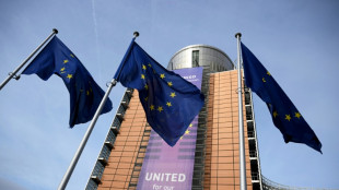 EU-Kommission will Mercosur-Abkommen weiter vor Jahresende abschließen