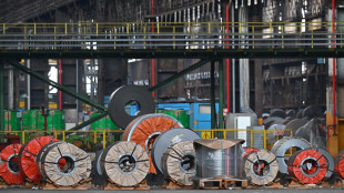 Ue, 'presto l'etichettatura per l'acciaio verde'